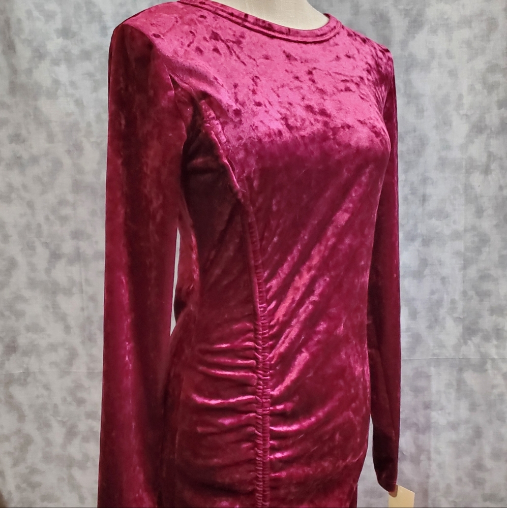 NWT velvet dress